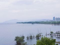 -野菌皇海景野生菌火锅(滨海大道店)