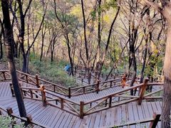 -大岭沟猕猴桃谷风景区