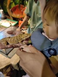 -酷嗒动物文化乐园(cutezoo西溪乐天城店)