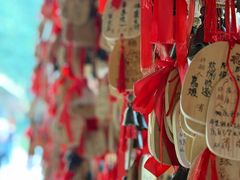-莫里热带雨林景区