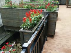 -黔蘑菇四季餐厅(观山湖店)