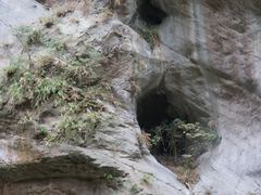 -太鲁阁公园