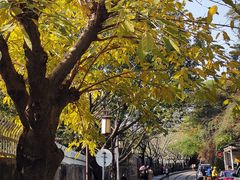-铁路文化公园