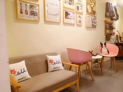 -WithU悠弦时光·尤克里里之家ukulele(宽窄巷子店)