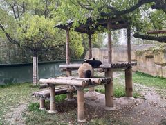 -上海野生动物园
