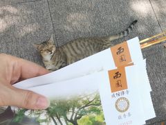 -西园戒幢律寺