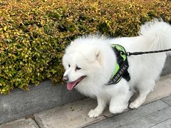 -国际青年会议酒店