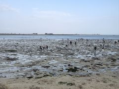 -北海金海湾红树林生态旅游区