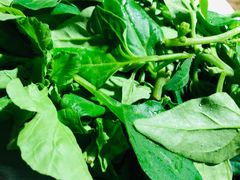 L野菜小拼-慢丽江·云南野生菌土鸡锅(西山店)