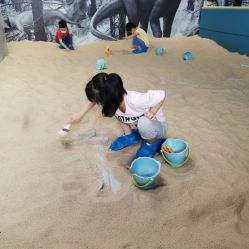 -恐龙探索乐园(磁器口店)