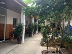 -李东农庄(中南百草园地标店)