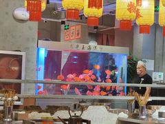 -朱光玉火锅馆(正弘城店)