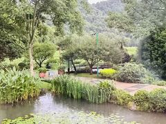 -中国茶叶博物馆(双峰馆区)