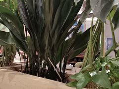 -云海肴·汽锅鸡·云南菜(曲江大悦城店)