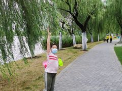 -西北湖绿化广场
