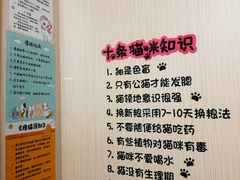 -唐小姐の私宠·宠物洗护美容·撸猫馆·购宠(周浦万达旗舰店)