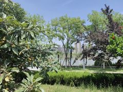 -后海彼岸花园餐厅