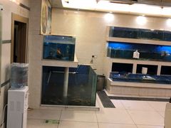 -新泰火锅城(蛟翔店)