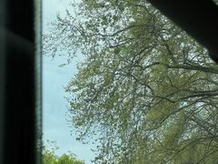 -杭州植物园