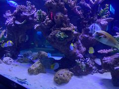 -邯郸海洋世界