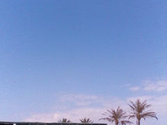 android_upload_pic-巽寮湾