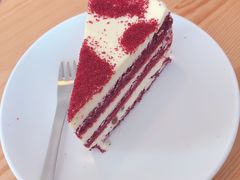 -有猫主题·治愈系猫咖(曾厝垵店)