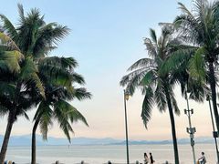 -深圳湾公园(南山区)