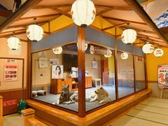 -大江户·温泉洗浴(浑南店)