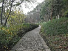-重庆平顶山公园