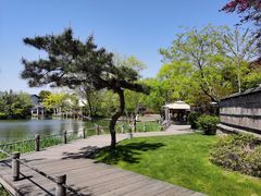 -新荣记(西溪湿地店)