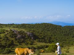 -大姆山草场