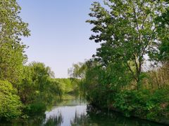 -溱湖国家湿地公园