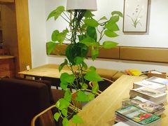 -柴务处·柴犬主题狗咖