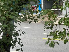 -BISTROFIORE美伊娜(伊犁南路店)