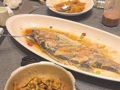 -味到1981日照海鲜·渔饺子