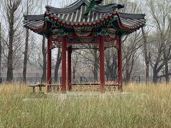 -北京麋鹿生态实验中心