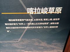-特克斯八卦城