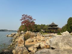 -东湖落雁景区