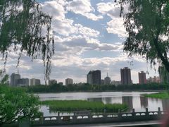-莲花池公园