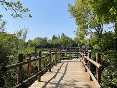 -河姆渡遗址博物馆