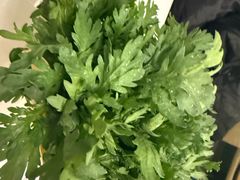 -润园四季椰子鸡火锅(南山海岸城店)