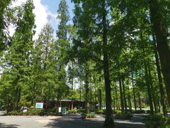 -东平国家森林公园
