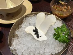 -滇野云南野生菌餐厅(陕西南路店)