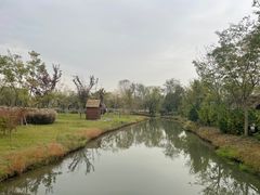 -溱湖国家湿地公园