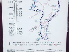 -铁山坪森林公园