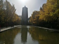 -玲珑塔公园