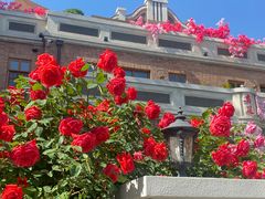 -天津五大道文化旅游区