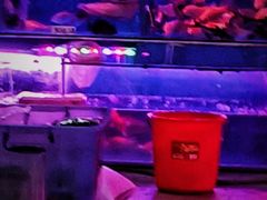 -清平路水族市场