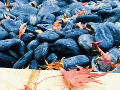 -苏州湾王焰温泉度假酒店