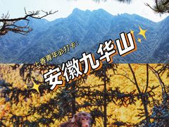 -九华山风景区